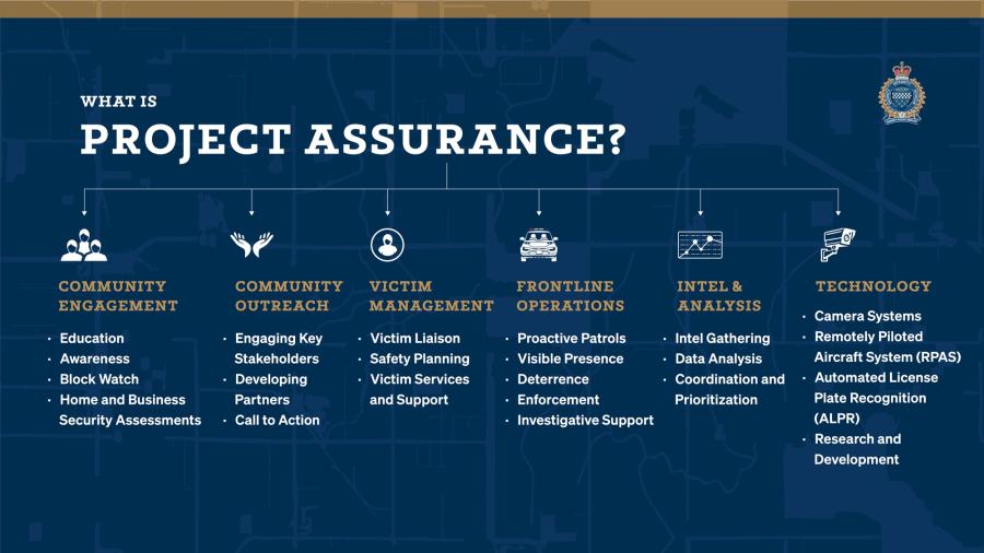 project assurance graphic
