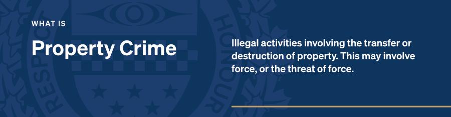 what is property crime banner